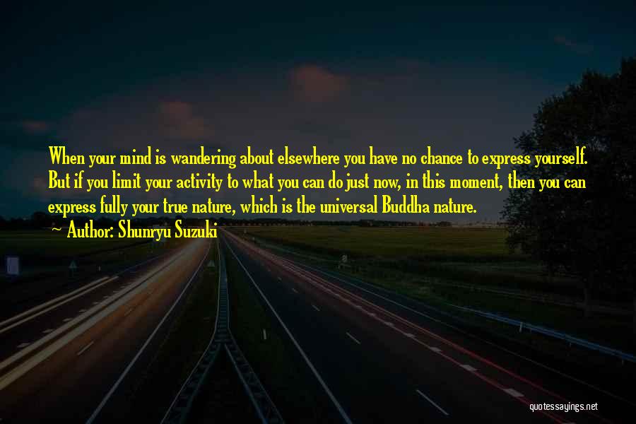 The Mind Buddha Quotes By Shunryu Suzuki