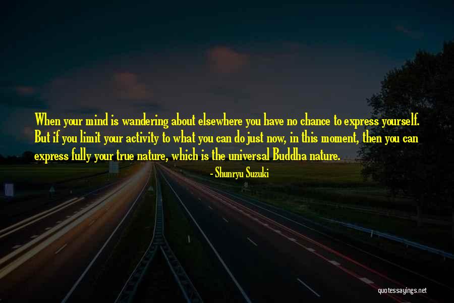 The Mind Buddha Quotes By Shunryu Suzuki The Mind Buddha Quotes By Shunryu Suzuki
