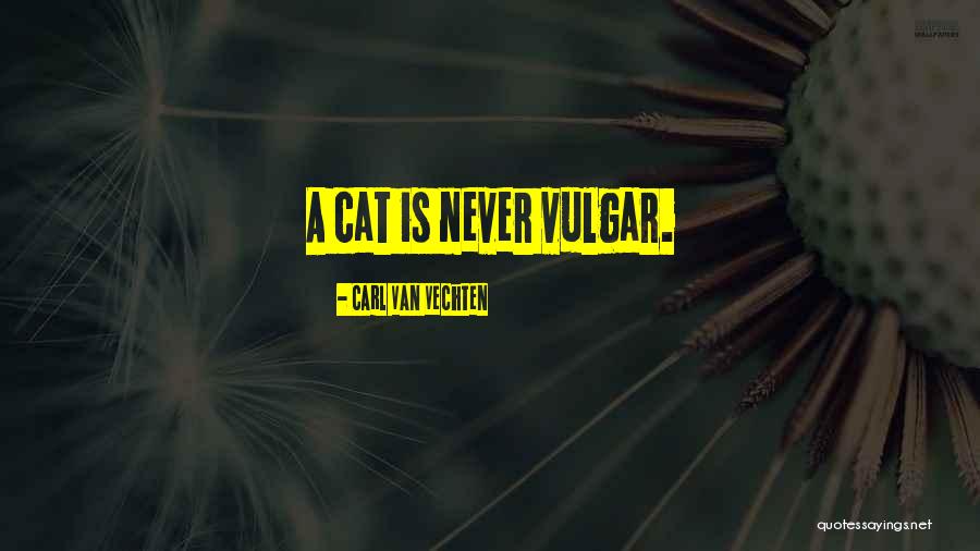 The Mirror Empire Quotes By Carl Van Vechten The Mirror Empire Quotes By Carl Van Vechten