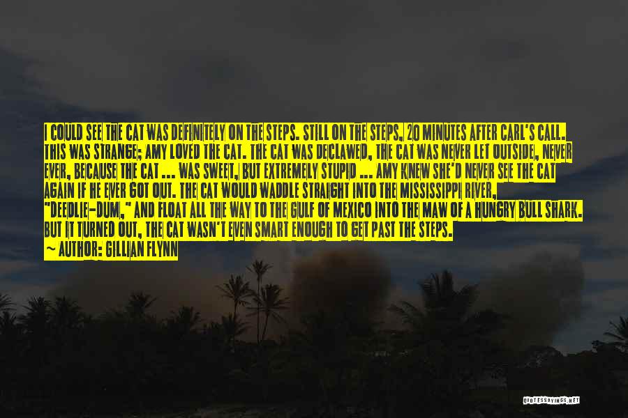 The Mississippi River Quotes By Gillian Flynn