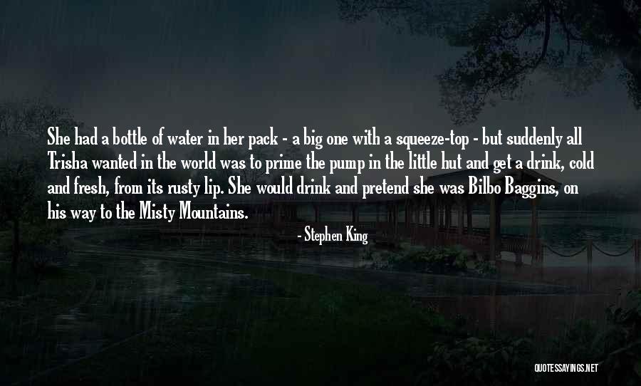 The Misty Mountains Quotes By Stephen King