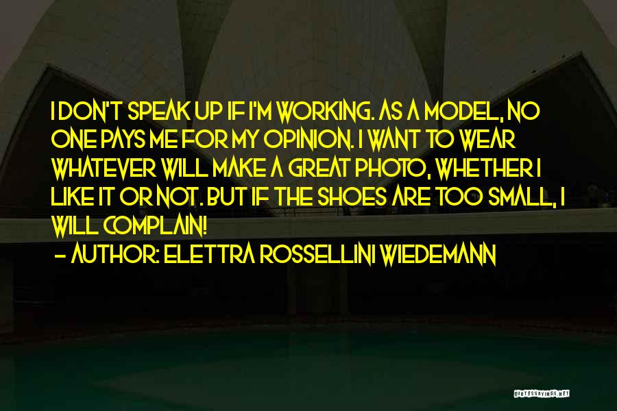 The Model T Quotes By Elettra Rossellini Wiedemann