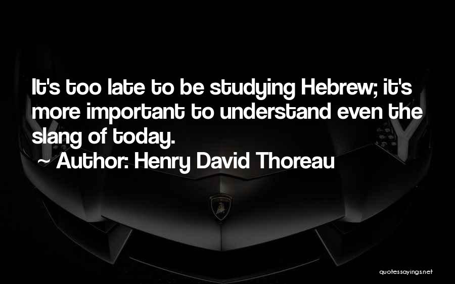 The Modern Culture Quotes By Henry David Thoreau