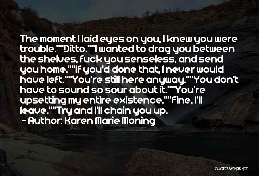 The Moment I Laid Eyes On You Quotes By Karen Marie Moning