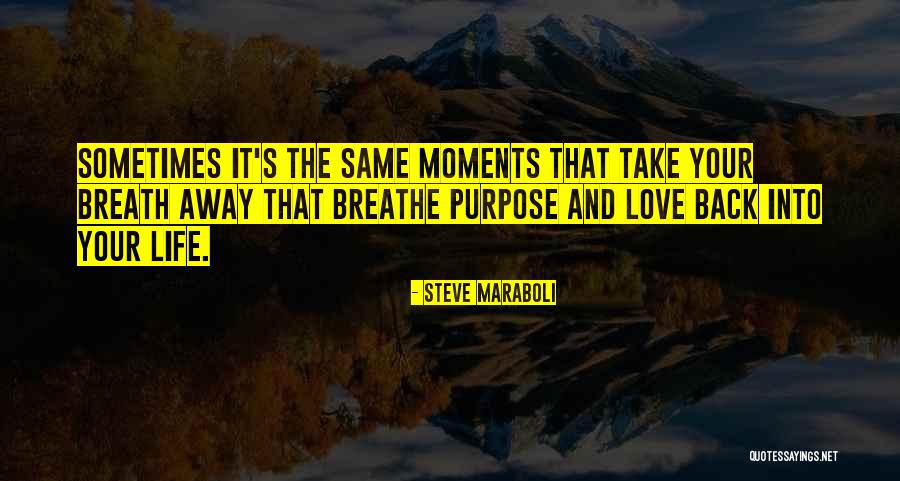 The Moments That Take Your Breath Away Quotes By Steve Maraboli The Moments That Take Your Breath Away Quotes By Steve Maraboli