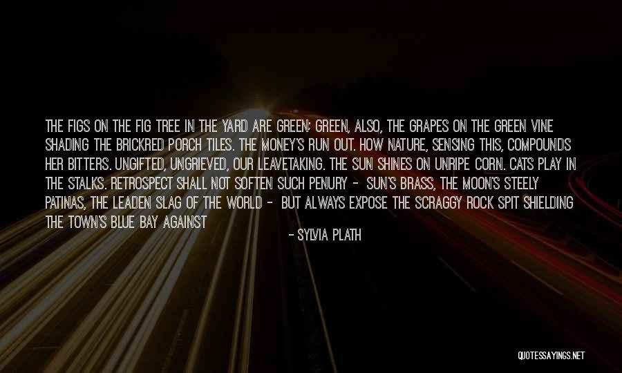 The Money Tree Quotes By Sylvia Plath The Money Tree Quotes By Sylvia Plath