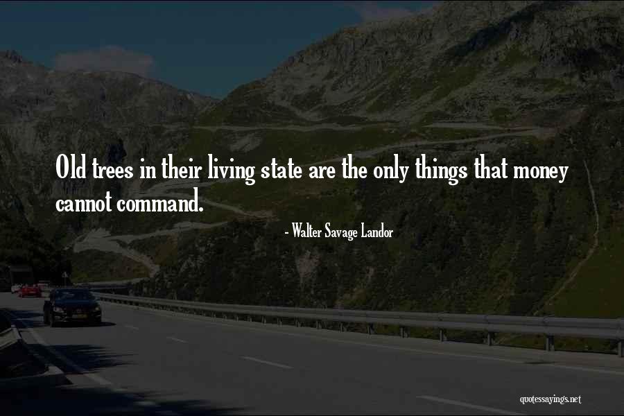 The Money Tree Quotes By Walter Savage Landor The Money Tree Quotes By Walter Savage Landor