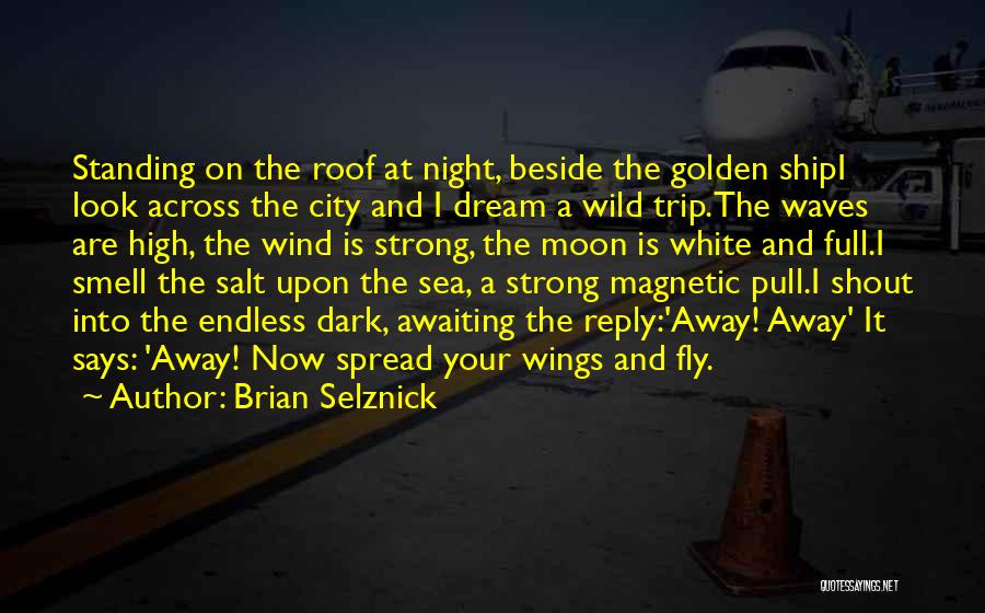 The Moon And Ocean Quotes By Brian Selznick