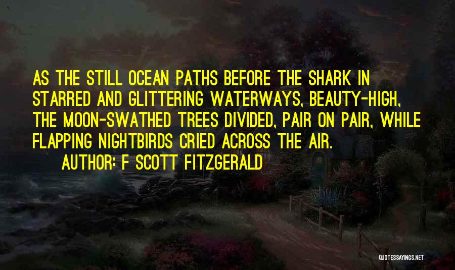 The Moon And Ocean Quotes By F Scott Fitzgerald