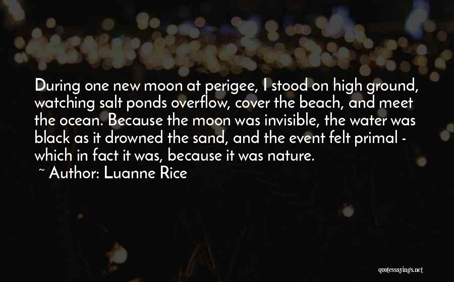 The Moon And Ocean Quotes By Luanne Rice