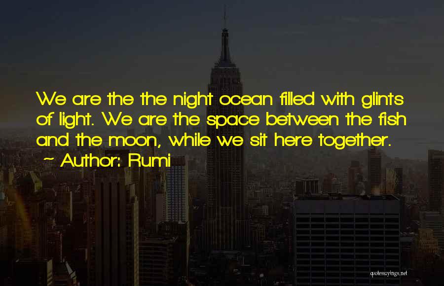 The Moon And Ocean Quotes By Rumi