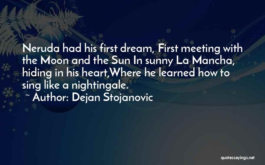 The Moon And Sun Quotes By Dejan Stojanovic