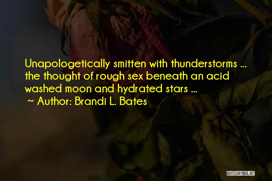 The Moon And The Stars Love Quotes By Brandi L. Bates