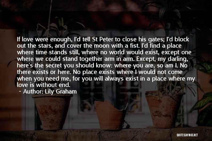 The Moon And The Stars Love Quotes By Lily Graham