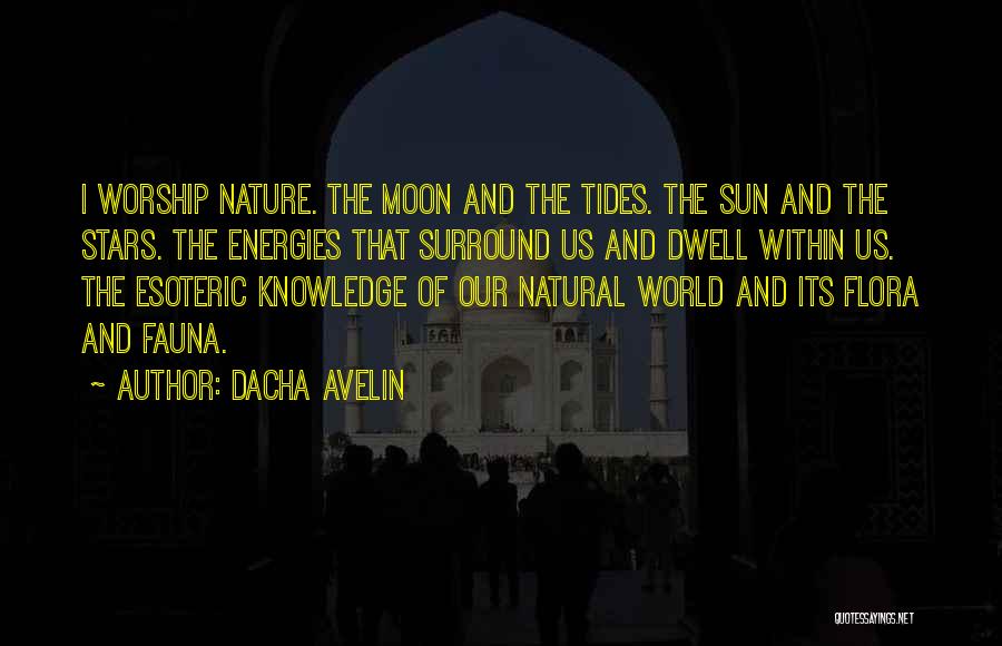 The Moon And Tides Quotes By Dacha Avelin