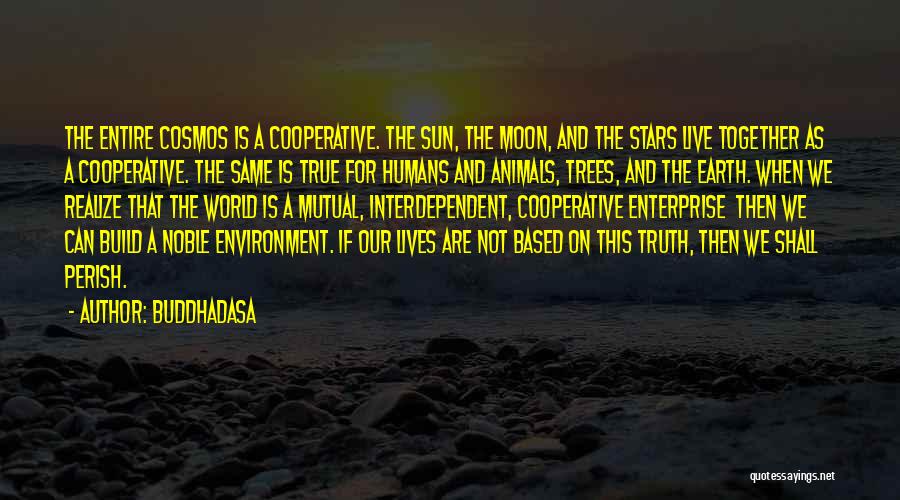 The Moon And Trees Quotes By Buddhadasa