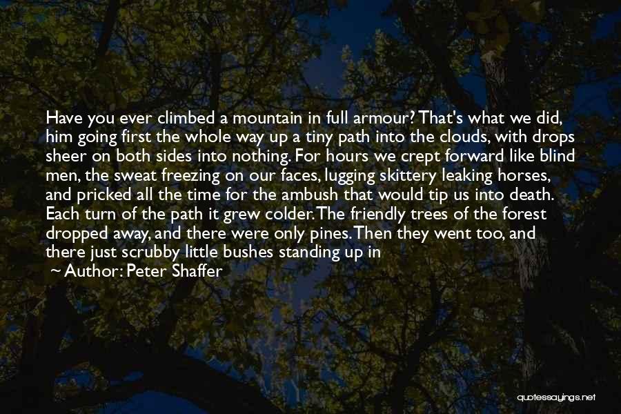 The Moon And Trees Quotes By Peter Shaffer