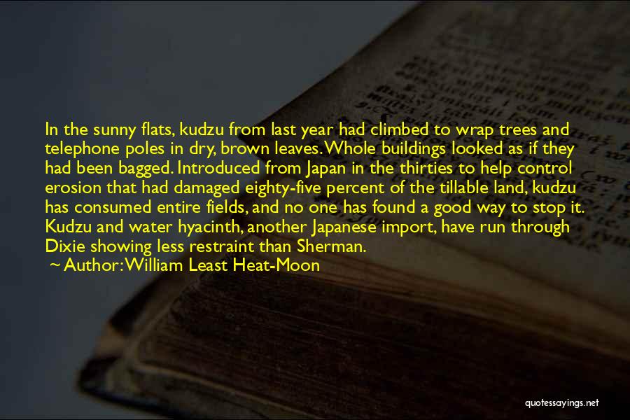 The Moon And Trees Quotes By William Least Heat-Moon