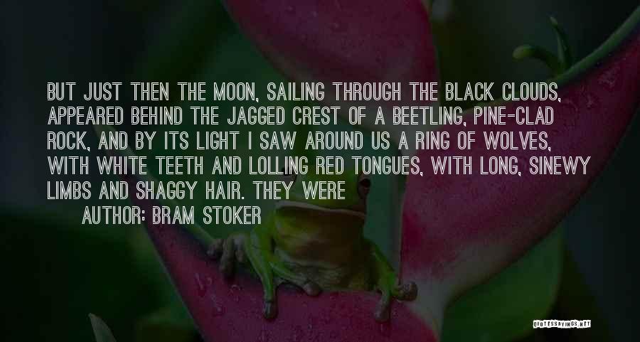 The Moon And Wolves Quotes By Bram Stoker