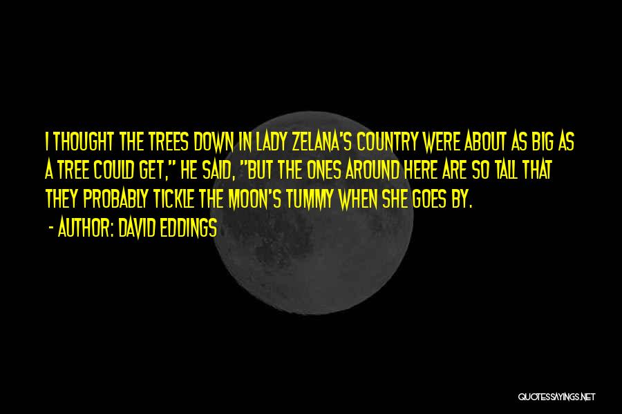 The Moon Lady Quotes By David Eddings