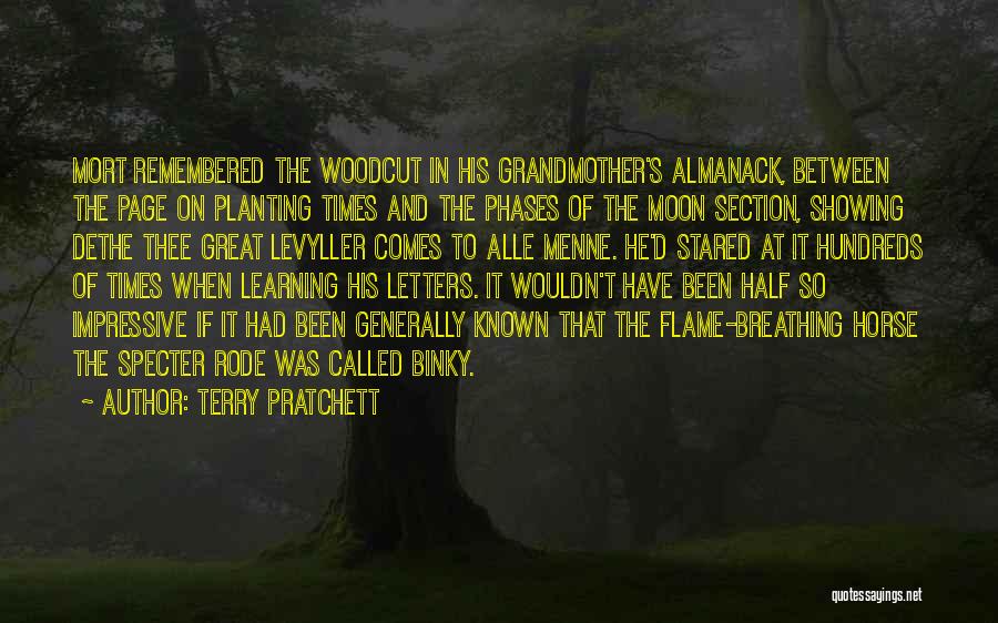 The Moon Phases Quotes By Terry Pratchett