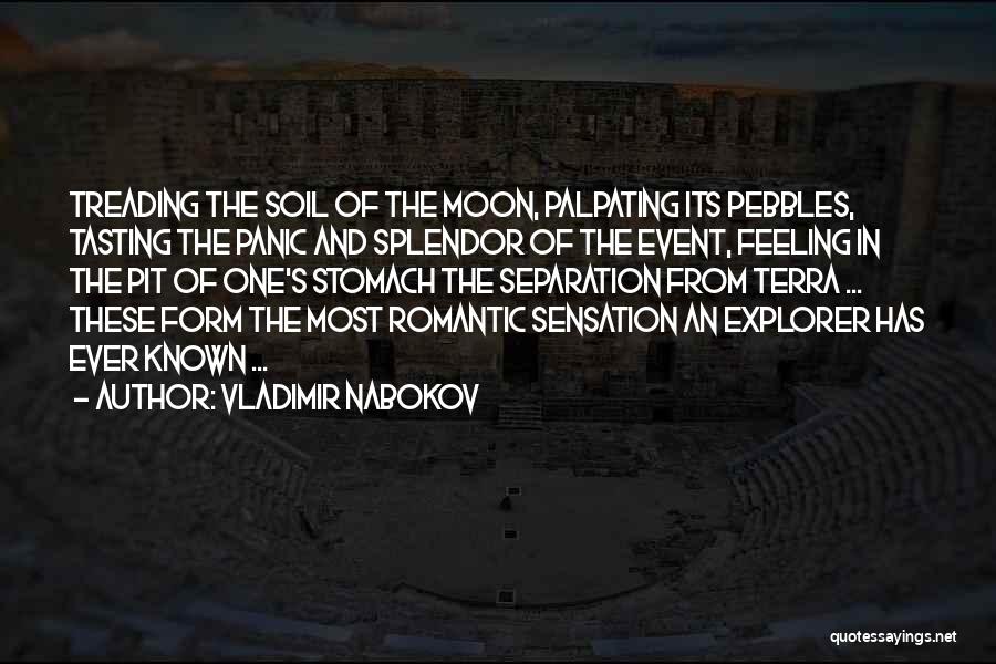 The Moon Romantic Quotes By Vladimir Nabokov