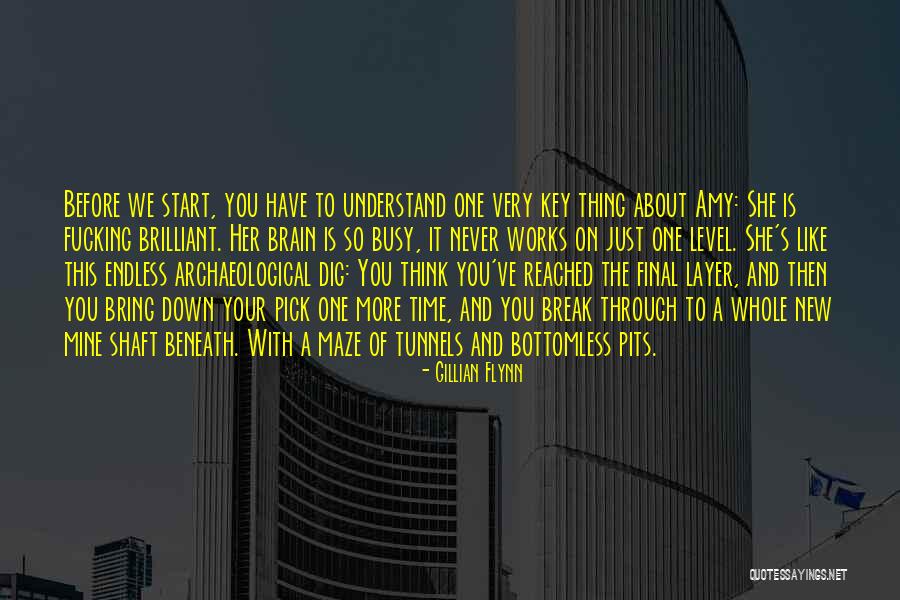 The More You Dig Quotes By Gillian Flynn The More You Dig Quotes By Gillian Flynn