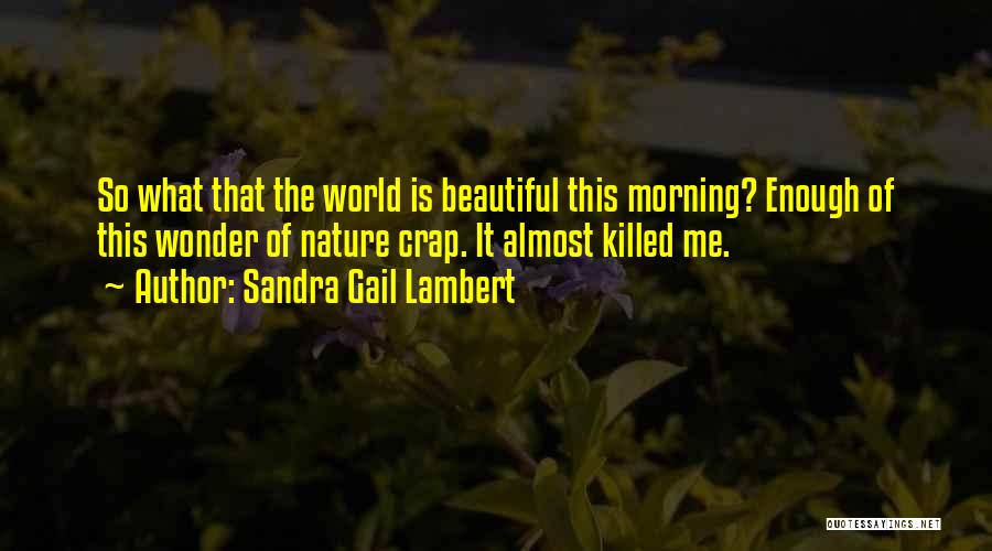 The Morning Beautiful Quotes By Sandra Gail Lambert
