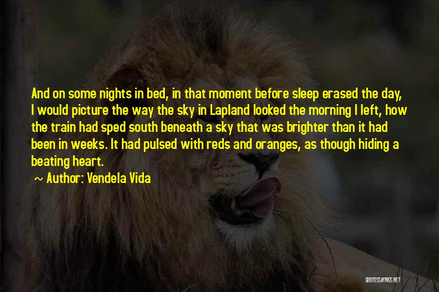 The Morning Beautiful Quotes By Vendela Vida