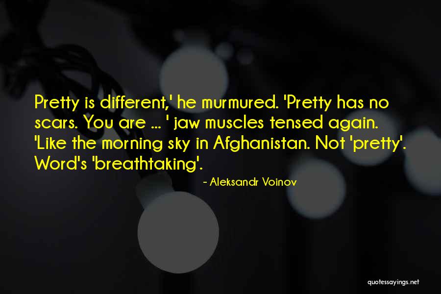 The Morning Sky Quotes By Aleksandr Voinov