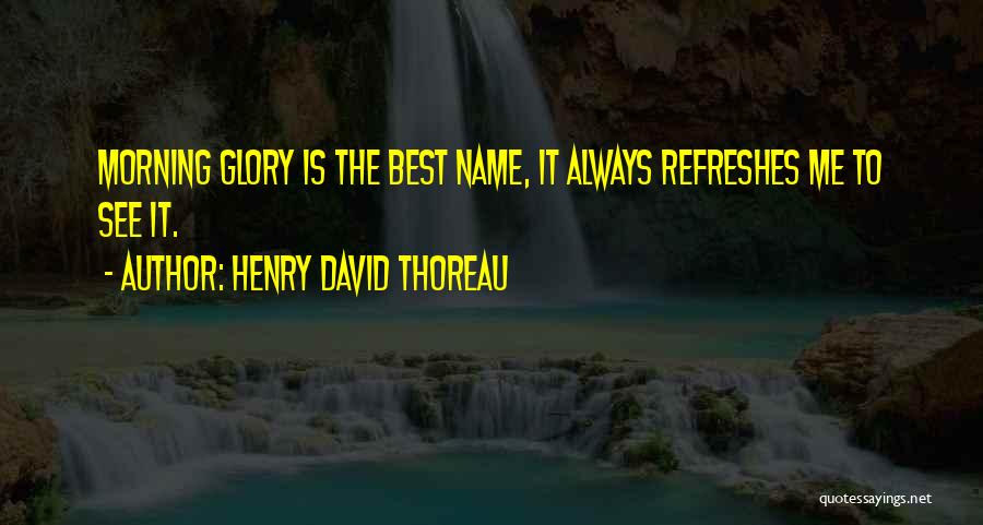 The Morning Sunrise Quotes By Henry David Thoreau