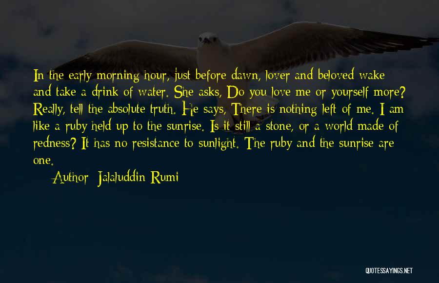 The Morning Sunrise Quotes By Jalaluddin Rumi