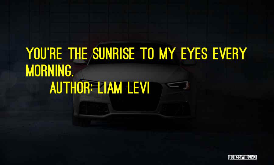 The Morning Sunrise Quotes By Liam Levi