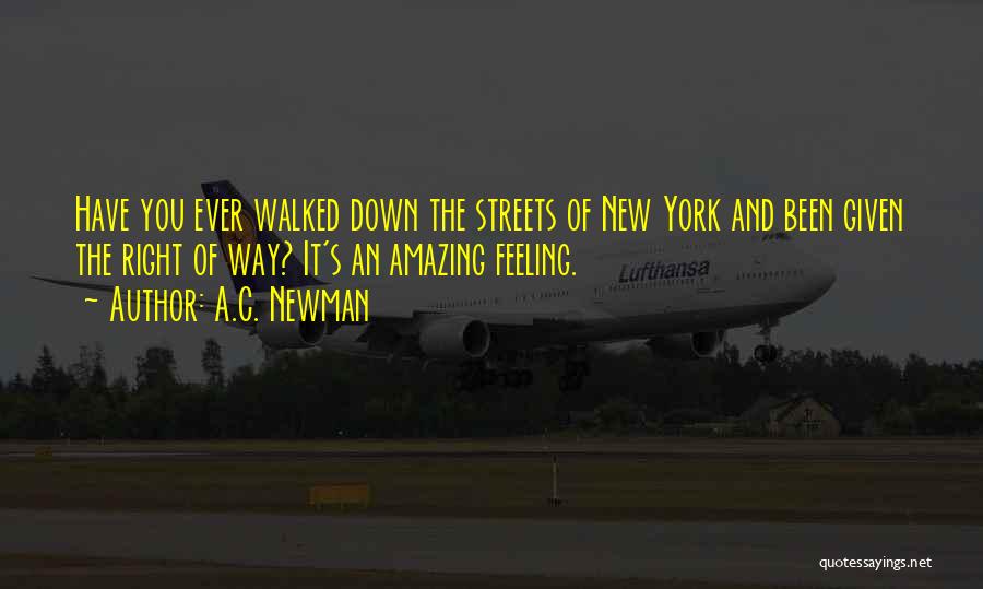 The Most Amazing Feeling Quotes By A.C. Newman
