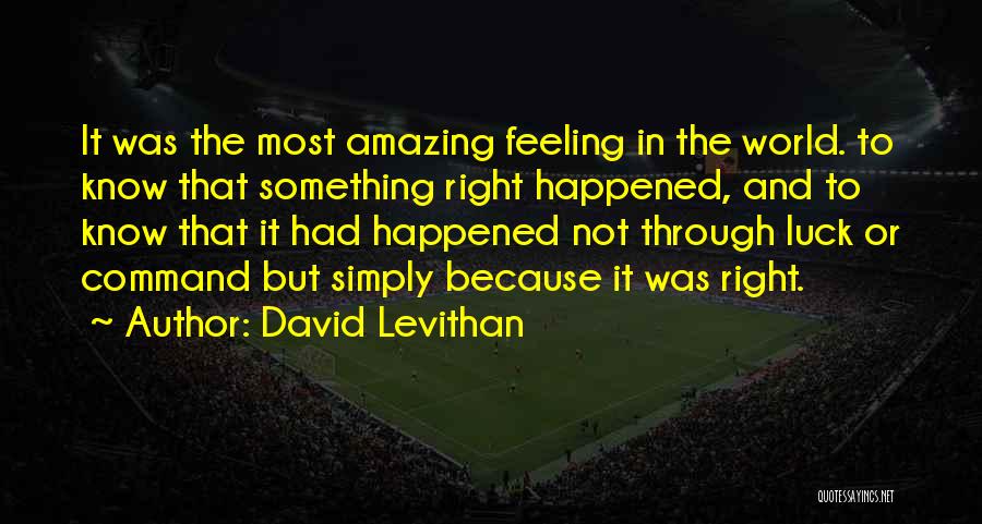 The Most Amazing Feeling Quotes By David Levithan