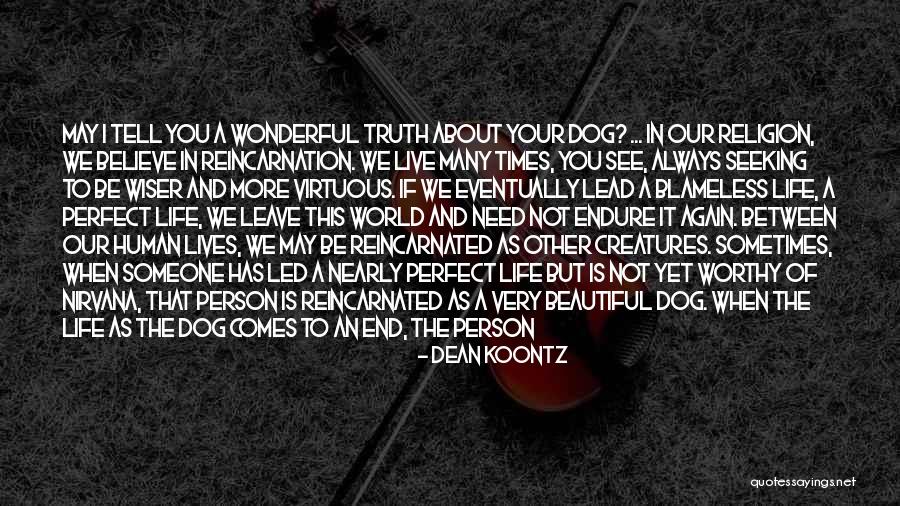 The Most Beautiful Person In The World Quotes By Dean Koontz The Most Beautiful Person In The World Quotes By Dean Koontz