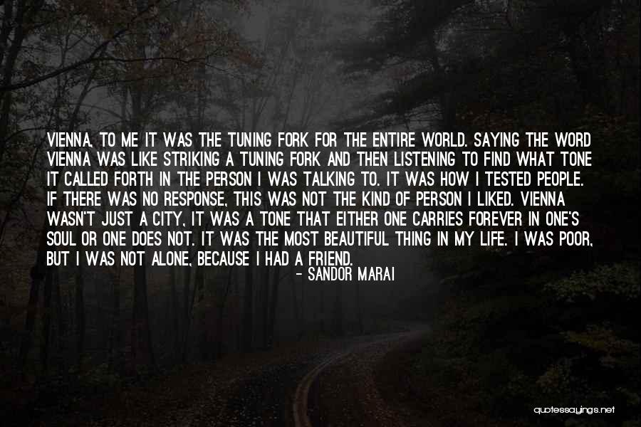 The Most Beautiful Person In The World Quotes By Sandor Marai The Most Beautiful Person In The World Quotes By Sandor Marai