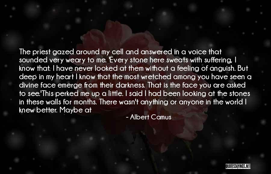 The Most Deep Quotes By Albert Camus The Most Deep Quotes By Albert Camus