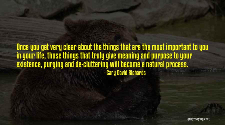 The Most Important Things In Life Quotes By Cary David Richards