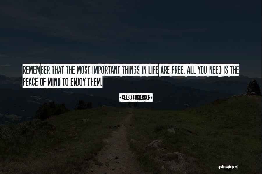 The Most Important Things In Life Quotes By Celso Cukierkorn