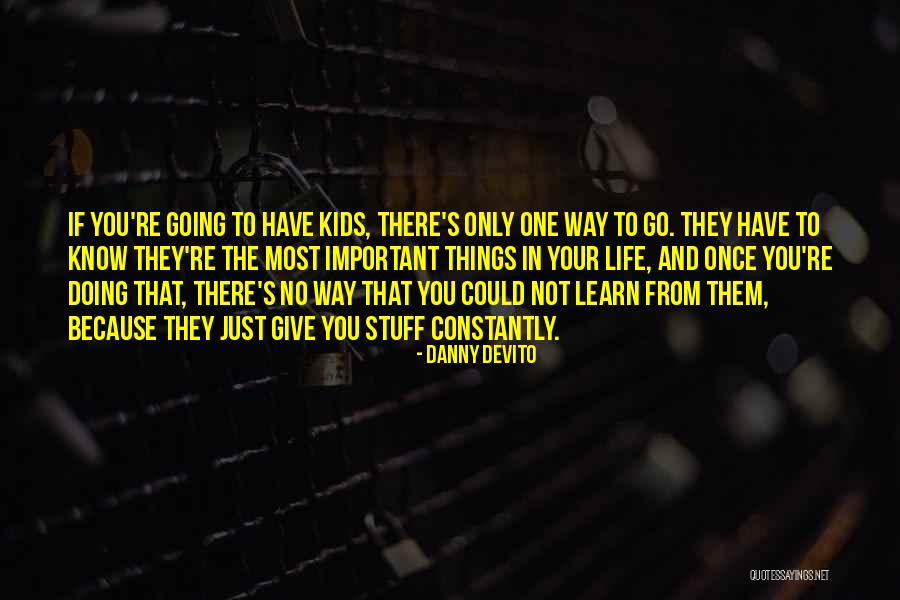 The Most Important Things In Life Quotes By Danny DeVito