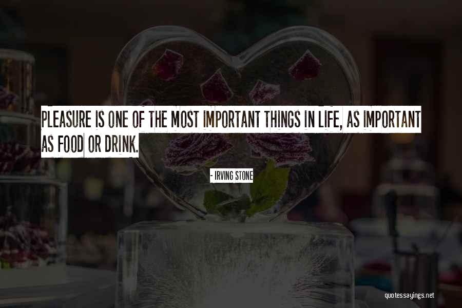 The Most Important Things In Life Quotes By Irving Stone