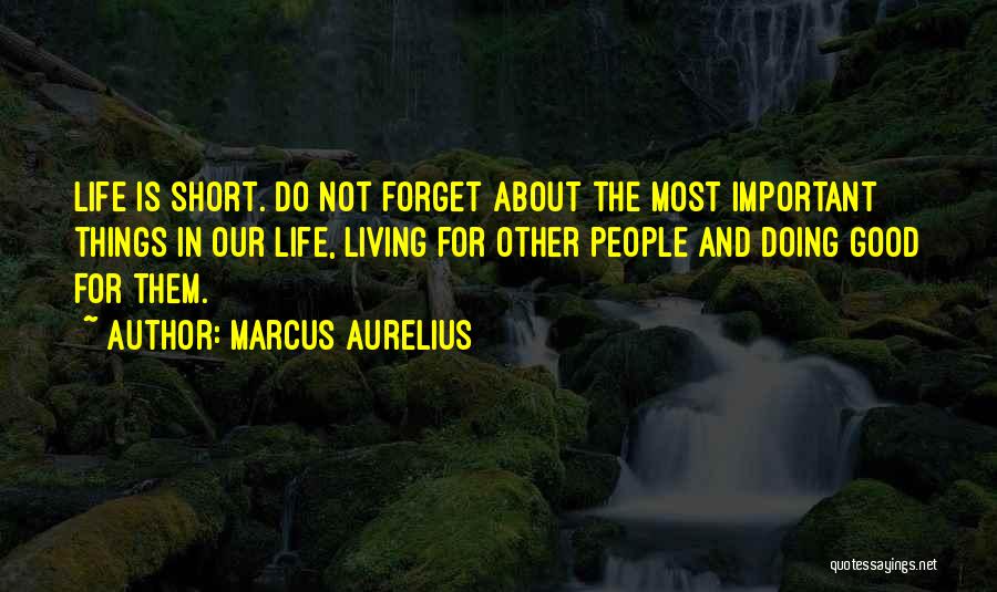 The Most Important Things In Life Quotes By Marcus Aurelius