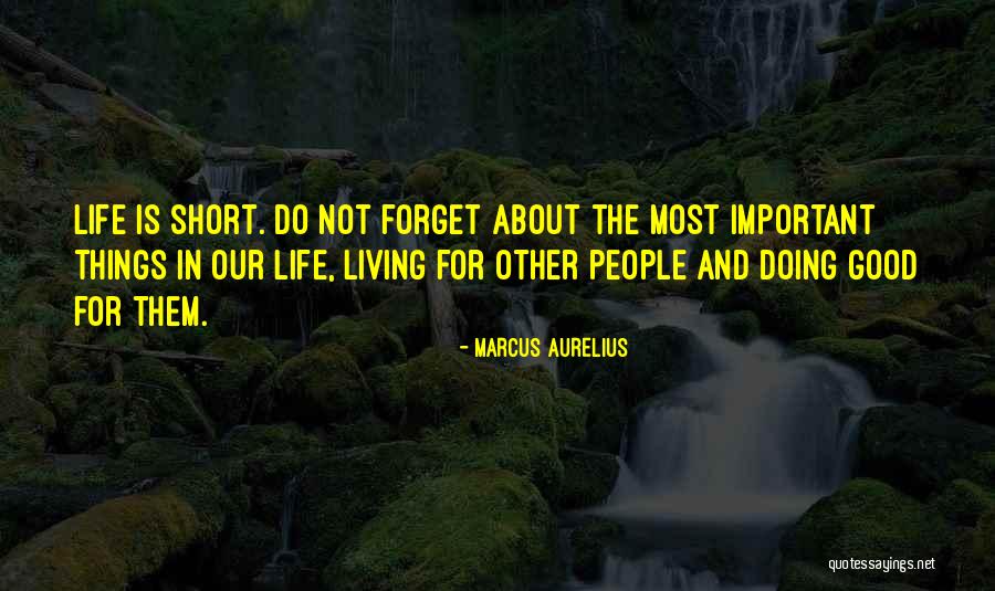 The Most Important Things In Life Quotes By Marcus Aurelius