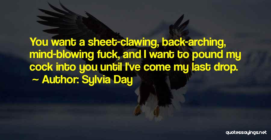 The Most Mind Blowing Quotes By Sylvia Day