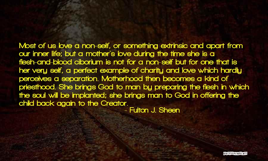 The Most Perfect Love Quotes By Fulton J. Sheen