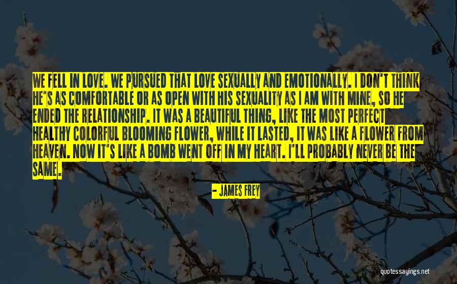 The Most Perfect Love Quotes By James Frey