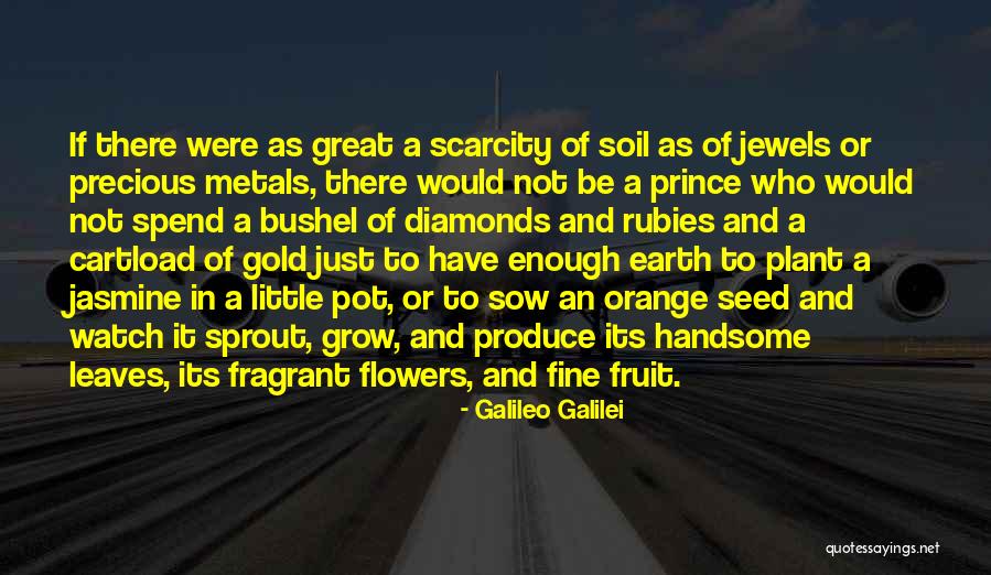 The Most Precious Jewels Quotes By Galileo Galilei The Most Precious Jewels Quotes By Galileo Galilei
