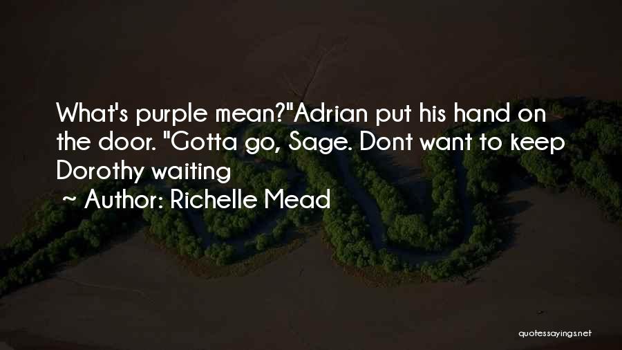 The Most Random Funny Quotes By Richelle Mead