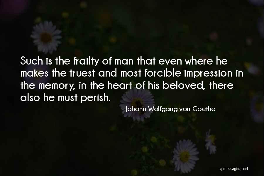 The Most Truest Quotes By Johann Wolfgang Von Goethe